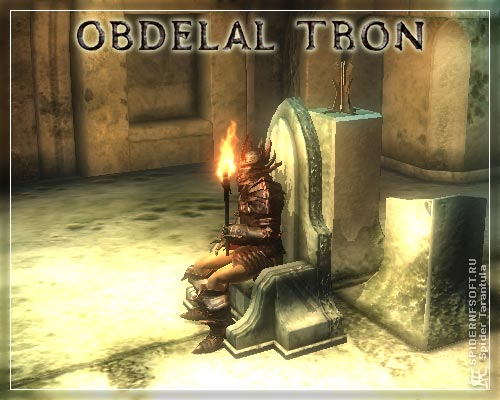 Стул Героя / коллаж юмор скриншот игра screenshot Elder Scrolls Oblivion герой трон туалет доспехи рыцарь факел game cover компьютер хохмы приколы